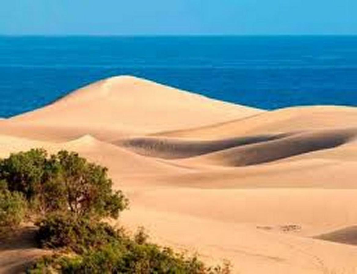 Bungalow Duna Flor Maspalomas Maspalomas  Esterno foto